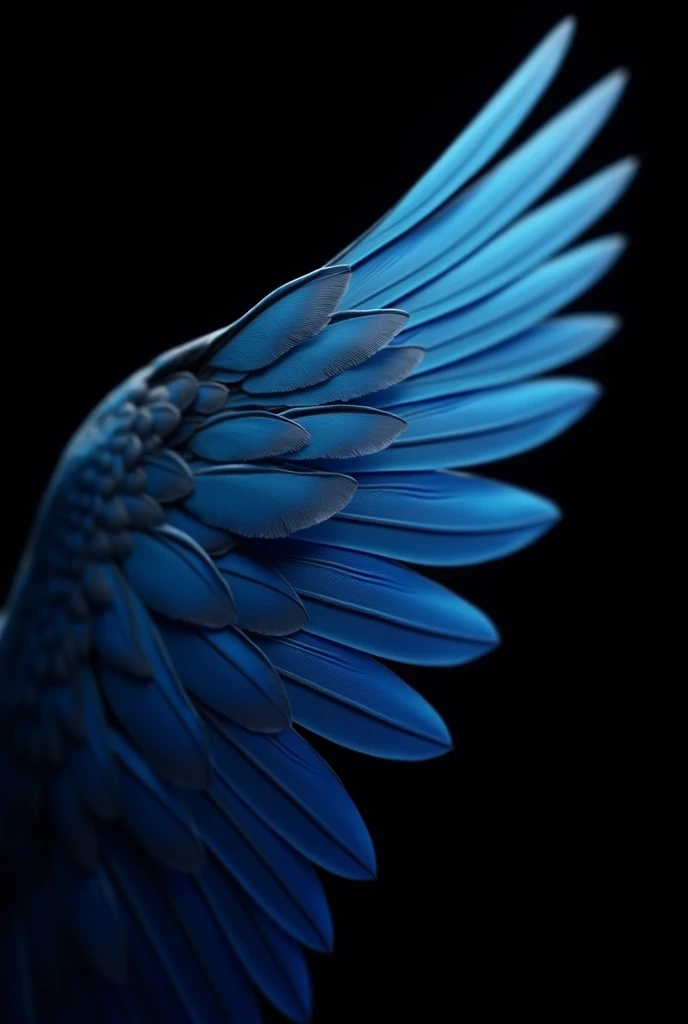 Create for me a drawing of a blue feathered wing inspired by the feathers of a blue macaw that is elegant and aerodynamic the wing must be closing, high resolution image with a black background
