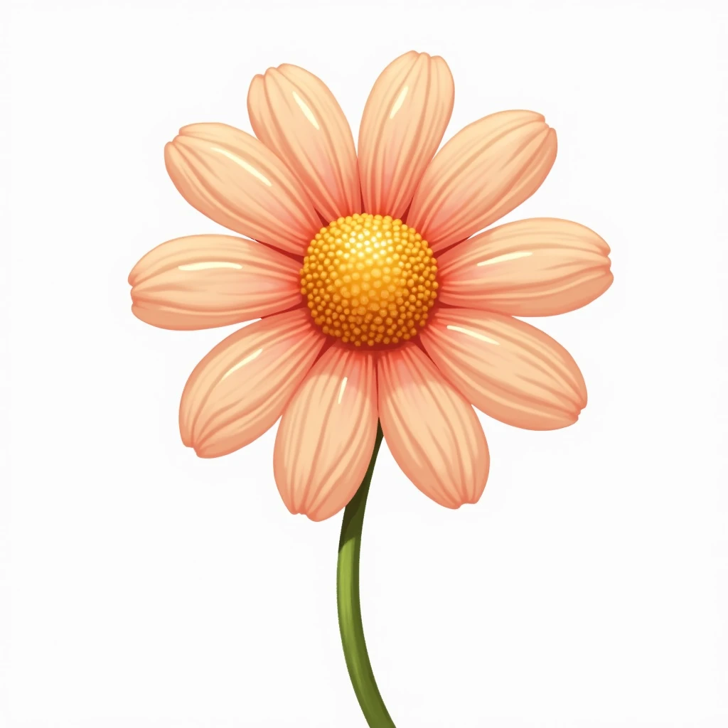  Daisy flower illustration with peach or pink touch gives a cheerful impression, time, and natural .  png dgn remove backgroun [Blank backgroun ]
