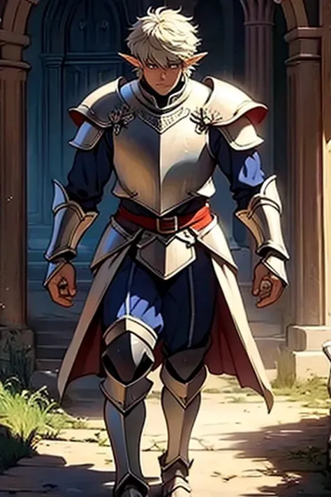 half-elf, knight, man, young, with armor 