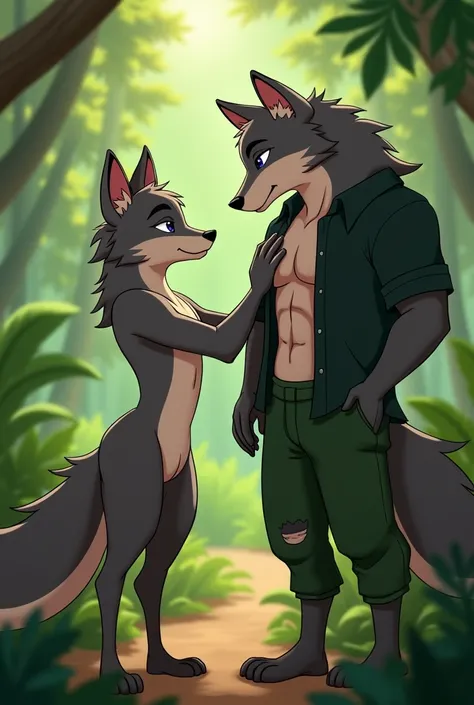 In 2d animation  ,  a young gray werewolf in loincloths are in the jungle  ,  the young werewolf is touching the chest of a male fox   ,  he is touching it with the palm of his hand  ,  the male fox is wearing a torn dark green shirt  , The dark green shir...