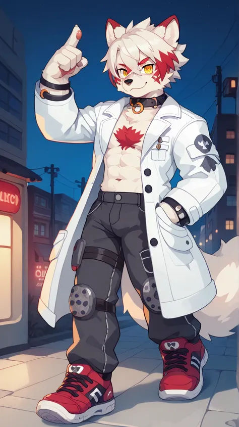 Lobo,furry, masculine.  anthropomorphic,well designed,kemono, drawing image,  cartoon art style,white body, white fur Husky coat ,big body,  ears with red tips ,furry tail,attractive face,  tattoo on face ,hair to the side,Mohican,Lycaon hair , normal gold...