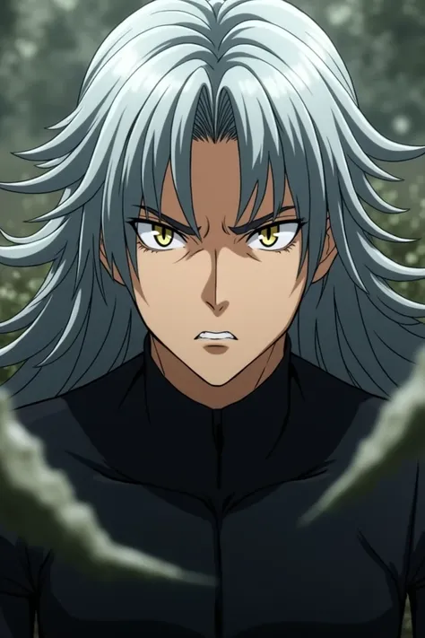 hunter x hunter screencap of a male with sharp, angular facial features and piercing golden eyes. His silver hair flows to his shoulders streaked with faint black highlights and also full body image.
Production Madhouse Studio screencap.