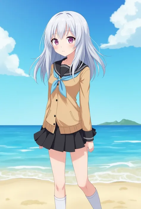 ((masterpiece)), ((best quality)), ((highres)), ((extremely detailed CG unity 8k wallpaper)), solo, tachibana kanade, tan school uniform, black skirt, white socks, outdoors, face, curtained hair, beach, parted hair, silver hair