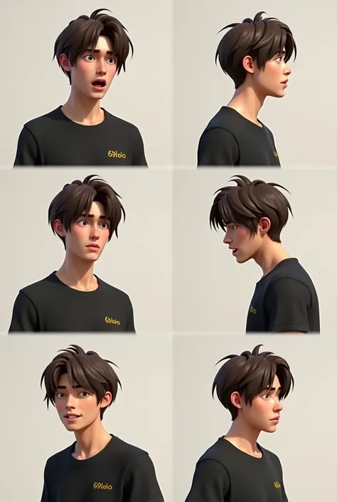  A male character with straight brown hair style on the right side wearing a simple black shirt with a small embroidery on the right side written:69lolo !
From several different reactions, such as anger, happiness, and sadness
