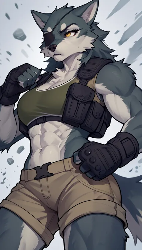 (zPDXL2), (PonyXLV6_Scores), source_anime, source_anthro, source_furry, Expressiveh, full body shot, asymmetric image, BREAK
lhata4564,
Wide Shot, Furry, woman, Closed left eye, Abdominal muscles, Wolf, tactical vest, green bra, tactical booty shorts, tact...