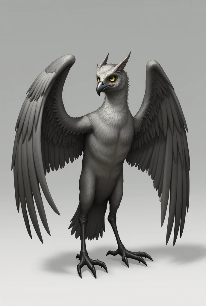 Aarakocra gray measures .6 meters with large wings
