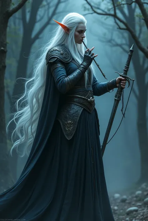 Night elf with long white hair,  wearing light leather armor , a rapier and a white-haired Night Elf flute 