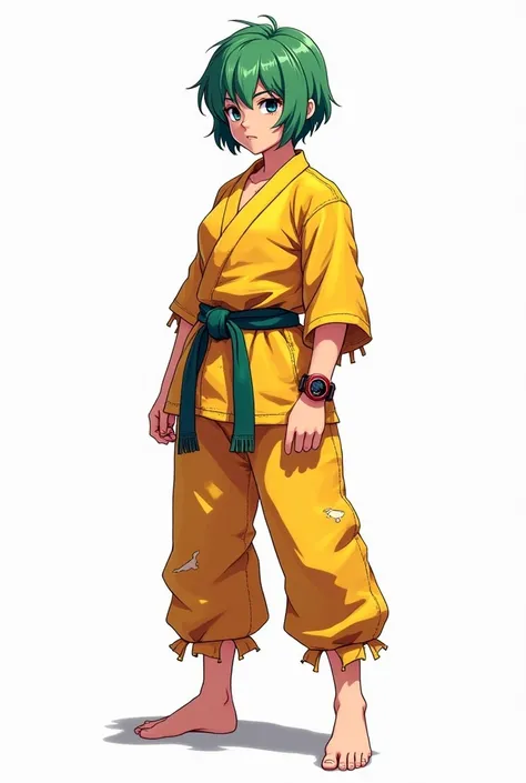 20 years old • Female • Short green hair • A scar over her left eye. Clothing style consists of an old, torn yellow karate gi with no torn sleeves, a rope tied around her waist instead of a sash. Barefoot. • Brown eyes • Watch on her wrist • Fair skin tone...