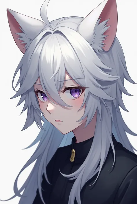 
 Make an anime boy , cold serious expression,  long white hair ,  white skin and fictional cat ears, Little purple eyes , male face 