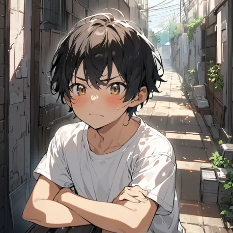 Teenage Boy,  Brown Eyes ,  black hair,  Very short hair,  pale tanned skin 、 has a slight blush on her cheeks,  wearing a white t-shirt,   arm-crossed,  playful and challenging expression , Frowning,  arrogant and gentle smile , Back alley where the sun s...