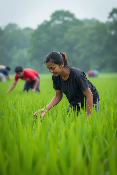 A 18 years old Thailand sexy girl bend and some people are working in the weat fields,on the girl is hand paddy fields the girl is wearing a black old ro shni and , the work A 18 years old Thailand hot girl and some people are working in the weat fields, t...