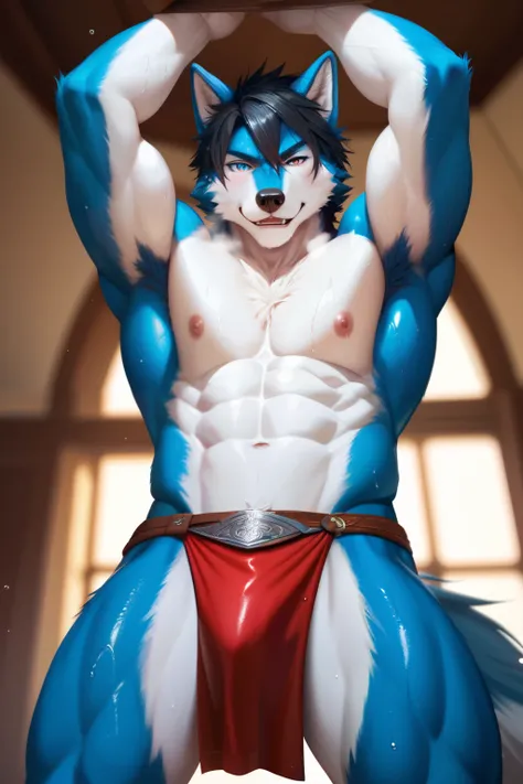 Anthropomorphic male furry wolf, blue fur skin, white fur skin, slender body, shiny muscles, abs, pecs, (looking at viewer, detailed eyes), on all four, POV from below, Solo, High Resolution, Short Hair, Black Hair, Animal Ears, Hair Between Eyes, Blurry, ...