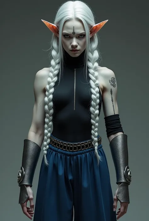  short ears , medium height ,  muscles in the arms and torso, severe appearance,  very long silver hair with ruffled ends normally tied in a thick braid,   pale skin with white tattoos in the shape of fine lines adorning the arms ,legs and neck like very s...