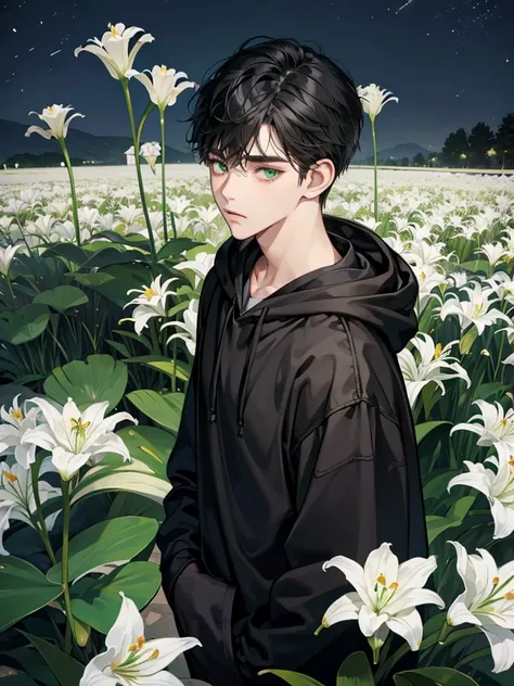 boy, green eyes, black hair, wear hoodie, he expressionless, sleppy. not have expression. background at the night scenery beautiful white lily garden. have big eyes. solo. he so kind. he cute and handsome