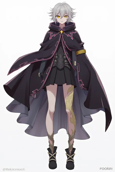 The exact image given from the character reference, however make it more 2D to fit with the “Honkai: Starrail” aesthetic. As for the character himself, their eyes should have a golden iris but black pupils. The character is supposed to be wearing a cloak, ...