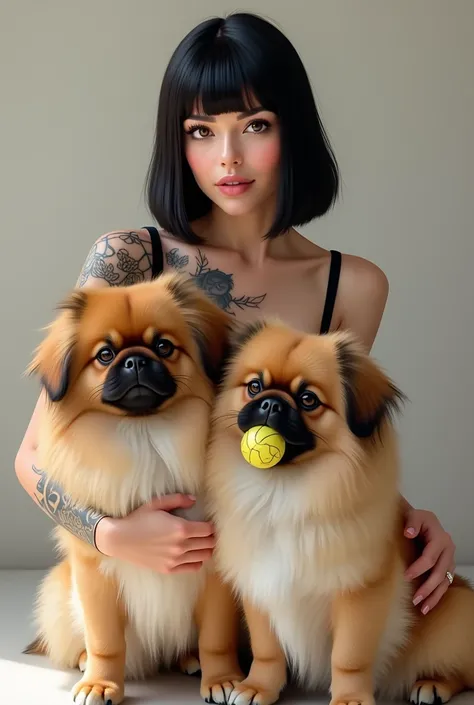 A lady with dark brown eyes, black straight bob hair and her left arm tattooed, with her 2 Pekingese dogs, one is light brown with a ball in his mouth and the other one is light brown with white