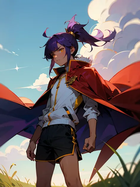 1male , Purple Hair , Dark Skin , Golden Eyes , Spiky Ponytail , Spiked Bangs , Serious Expression, Red Cape with white fur trim , Yellow Fitted Fleece Jacket , Black Athletic Shorts , Standing in a grassy planes background , perfect generation , Detailed ...