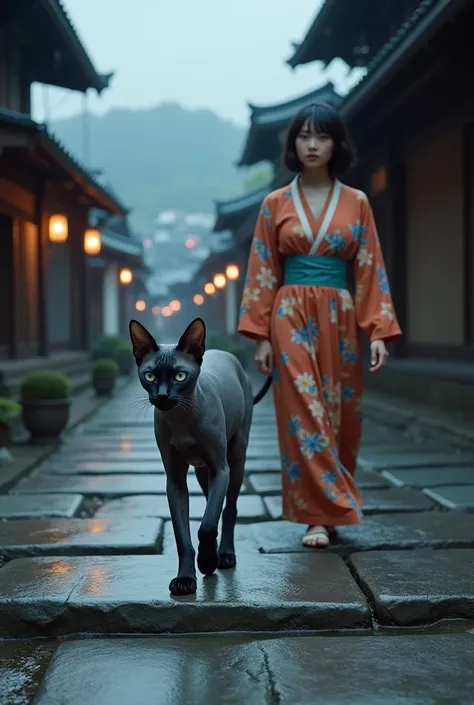  realistic , The subject is "人間サイズのgrey、Black sphinx cat、Walking on tatami mats with a young woman in a kimono camisole kimono", Ancient Kyoto stone steps, Japan, Wet stone walkway splashed with water, grey、white、Girl standing on stone steps with black cat...