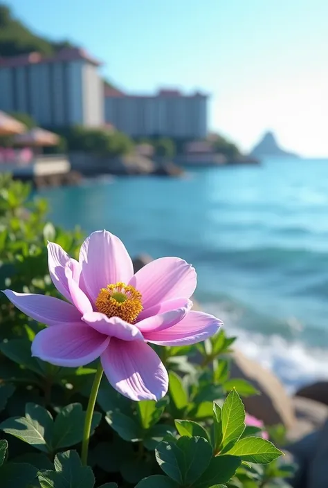 Seaside　Single anemone　Resort　Realistic Flowers