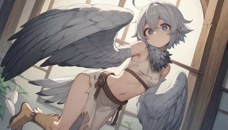 Harpy、whole body、  1 girl、  Round open eyes、 dark circles under eyes  、 No Emotion、  pale skin、   Silver Hair、 、fur around her neck 、灰色の羽、 small breasts、  scaled limbs 、   bird foot、  Bird Tail   、  arms are wings   、  feathered arms  ,White feather body 、...