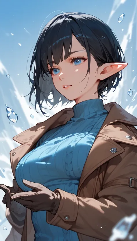 Elf,Short black hair,In blue eyes , wear gloves,blue sweater, Medium Bust ,Brown coat