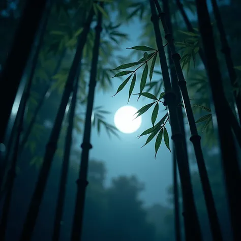 Full moon peeking through the bamboo grove　Shooting from bottom up　High quality camera live action