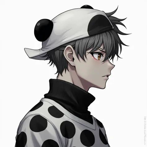 Profile photo,  Anime character , gender man, called "Panditax " with a black and white sweater panda hat
