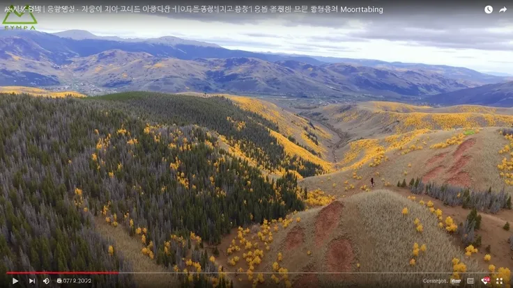  Beautiful autumn scenery picking up fallen leaves. Maple leaves. Lush trees.