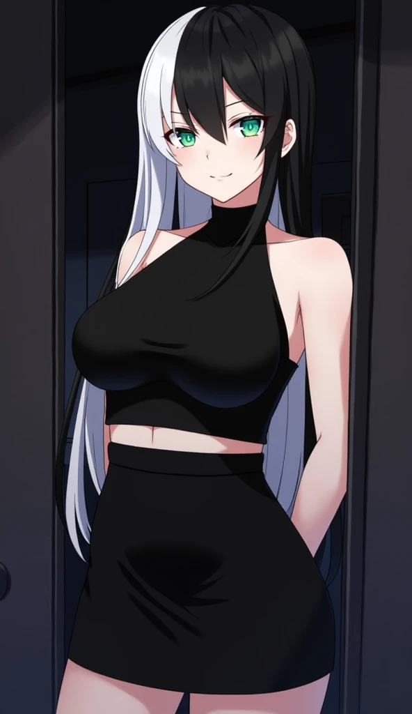 This image depicts a striking anime-style character with a confident pose and captivating features. Her long, sleek hair is split into contrasting black and white tones, enhancing her bold appearance. She has heterochromatic eyes—one bright green and the o...