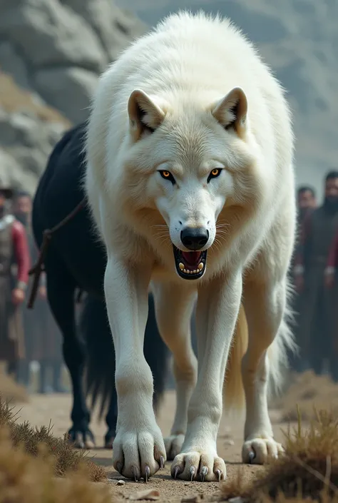 White wolf aggressively protects the black horse from a crowd. 