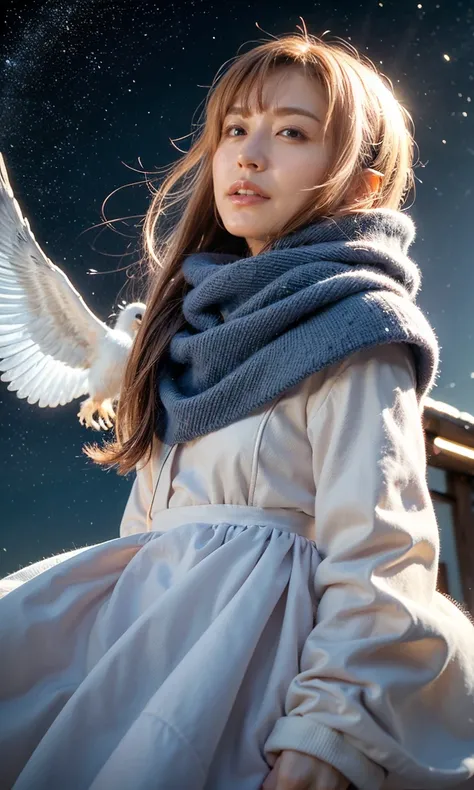 (    When she casts a spell , A legendary ice bird appears around the sky、 Magic Rim 、staring at something、diamond dust flutters、クリーム色のhair、   Heavy snowfall area      、   Snow is falling   、    blue eyes、    blue eyes、white winter clothes    、  gazing up ...