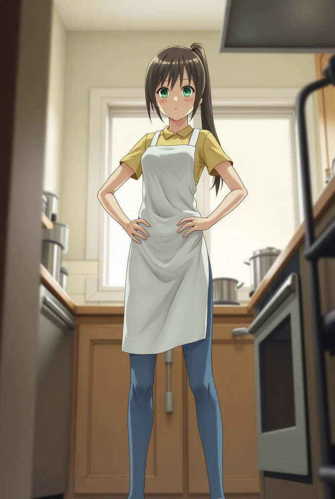 score_9,style by terasu mc BREAK kitchen,blurry background,depth of field BREAK pov hands,mori_kaede_(terasu_mc),from below,looking down,hands on own hips,white apron,skinny jeans,tight pants,disappointed,looking at viewer,brown hair,side_ponytail,green ey...