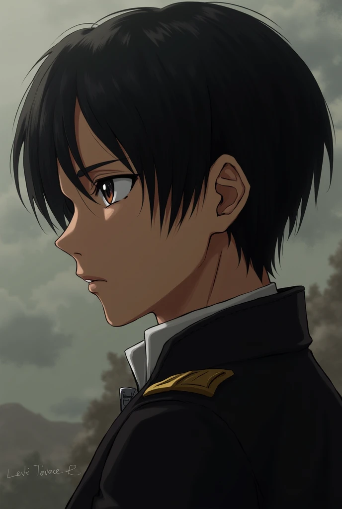 I want to see a profile picture of Levi