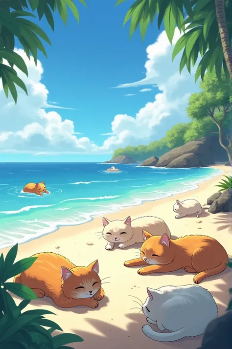 Cats on the beach
