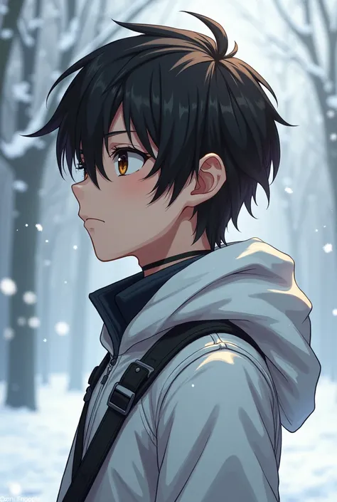 Create an anime character that appears to be in his 20s and is similar to Kirito Naofumi, etc., Just create his face ,  in the frame of a profile picture .  brown eyes hair like Kirito and white and black clothes, As if it were snowing without accessories