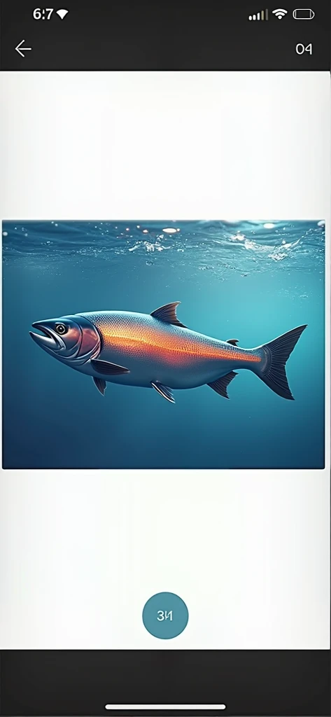 (photorealism:1.2) a salmon fish 