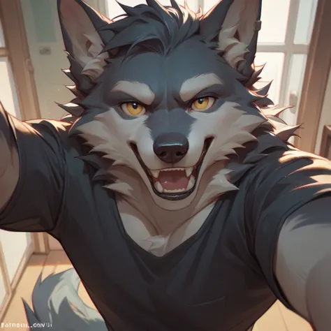 score_9_up,score_8_up,score_7_up,score_6_up,score_5_up,score_4_up BREAK furry,wolf,Selfie,looking_at_viewer,reaching_out