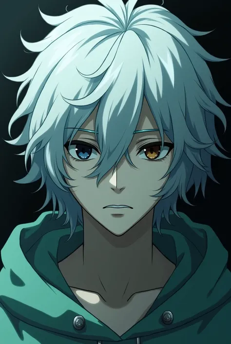 ***Boy 22 years old*** White hair. Face hair long to close left eye. The right eye have black color. Wear a light green hood with white skin. Boring cold face. And face hair long to close left eye Anime