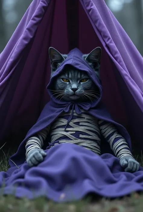 Adult fat Dark gray british shorthair humanoid female cat wrapped with bandage like mummy and wearing purple gypsy hoodie long cloak and dark blue long dress inside, sleeping in purple gypsy tent at night time 