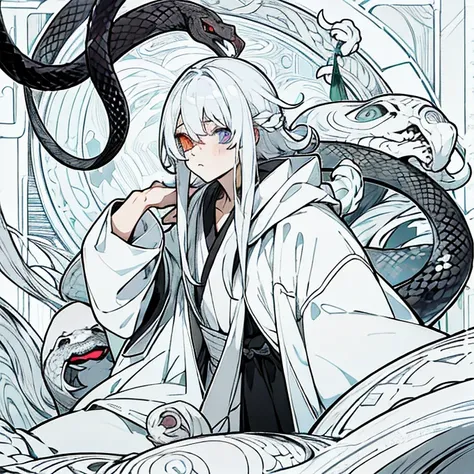 Silver Hair,juvenile, Pure White Robe ,Cunning , Greed ,Half man, half snake,Heterochromia,Vertical pupil,blacksnake