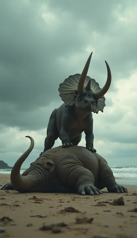 A photorealistic image of a Triceratops standing victoriously atop a fallen Woolly Mammoth, on a desolate beach under a dramatic, cloudy sky.  The scene is rendered with cinematic lighting and high detail, showcasing the textures of the dinosaurs skin and ...