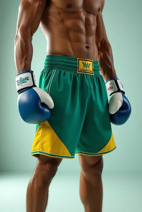 Create a shorts 
Of boxer in the colors green yellow and blue


