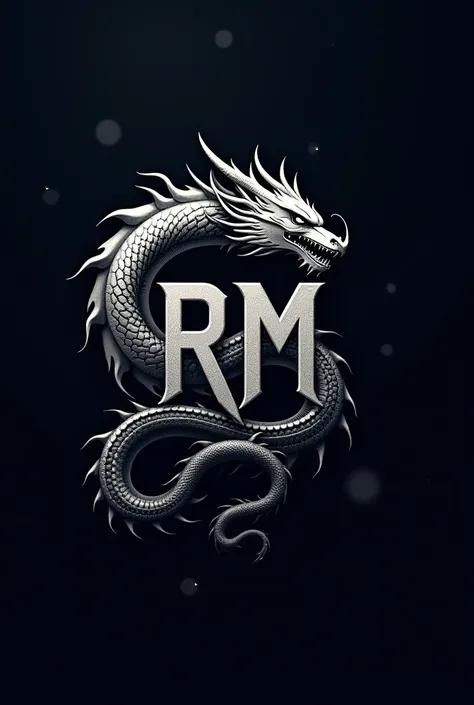 I want a futuristic business logo with the main letters RM and a dragon 