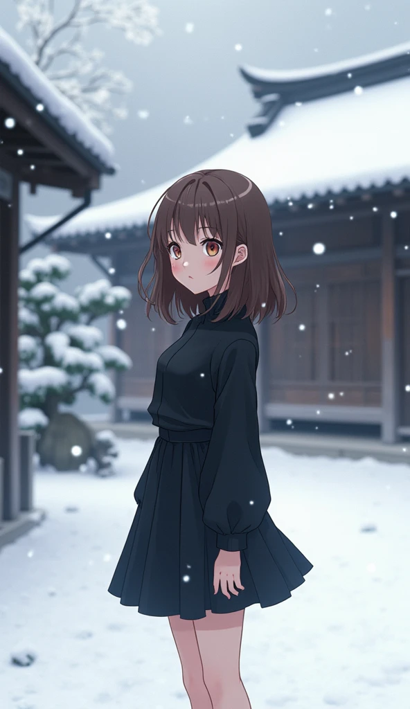  anime girl , , 1,44 “slightly small” tall...  brown hair ,  fair skin ,  cold black blouse , Black skirt......... scene:in front of a house "Japanese" And its snowing 