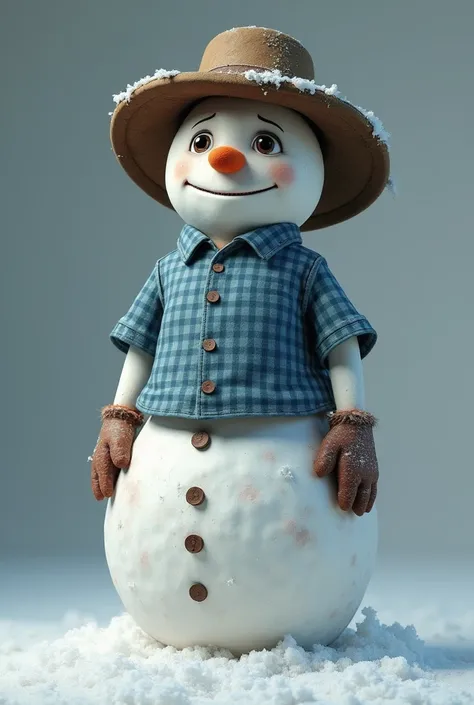  Very realistic snowman, Wearing a weather-worn rangler hat ,and blue checkered shirt ,short sleeve,CLOSED,WITHOUT SCARF,without bib,with a serious face,but friendly,adult, delgado 