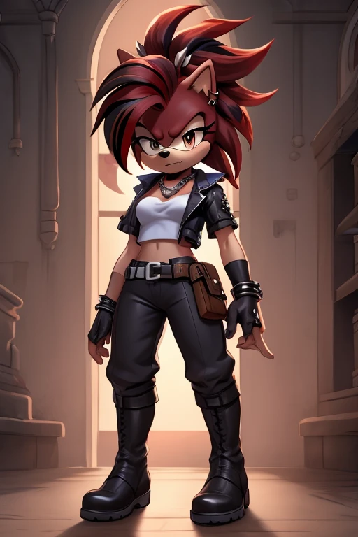 A female character with characteristics used in the IDWs Sonic universe.whole body.CHARACTERISTICS;hedgehog .spy outfit;Oshen-i, red eyes, punk hair, bracelet, gadget belt,necklace,earrings, leather.clothes, high boots, colors are ;black and red streaks, r...