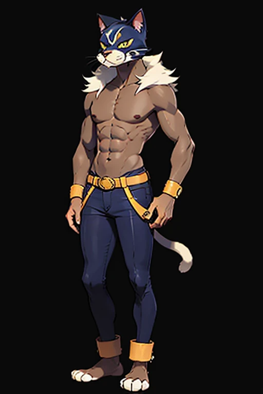 Male furry teenager senior cat pokemonai-fan