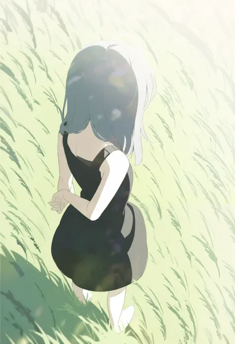 1 Girl，Young girl，Looking down from above，Back，Gray long hair， black dress ，grassland，The shadow is a bird， sunshine