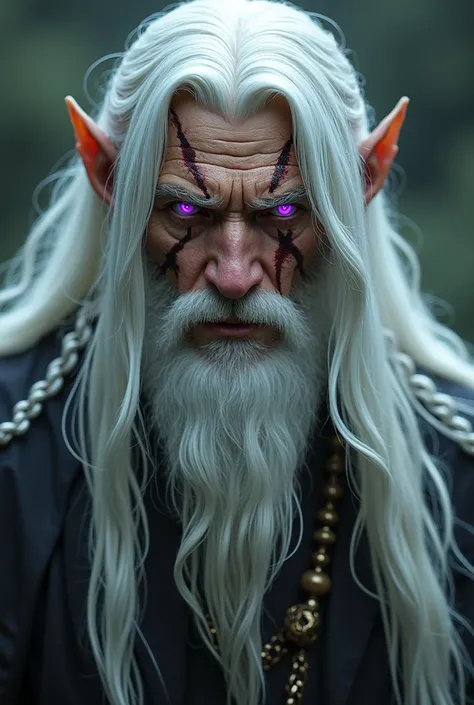 white male,  long white hair,  purple eyes , Scars on the face