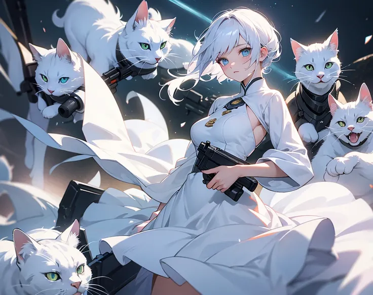 White cat、Personification、Beauty、Queen、 pretty eyes、battlefield、 gun